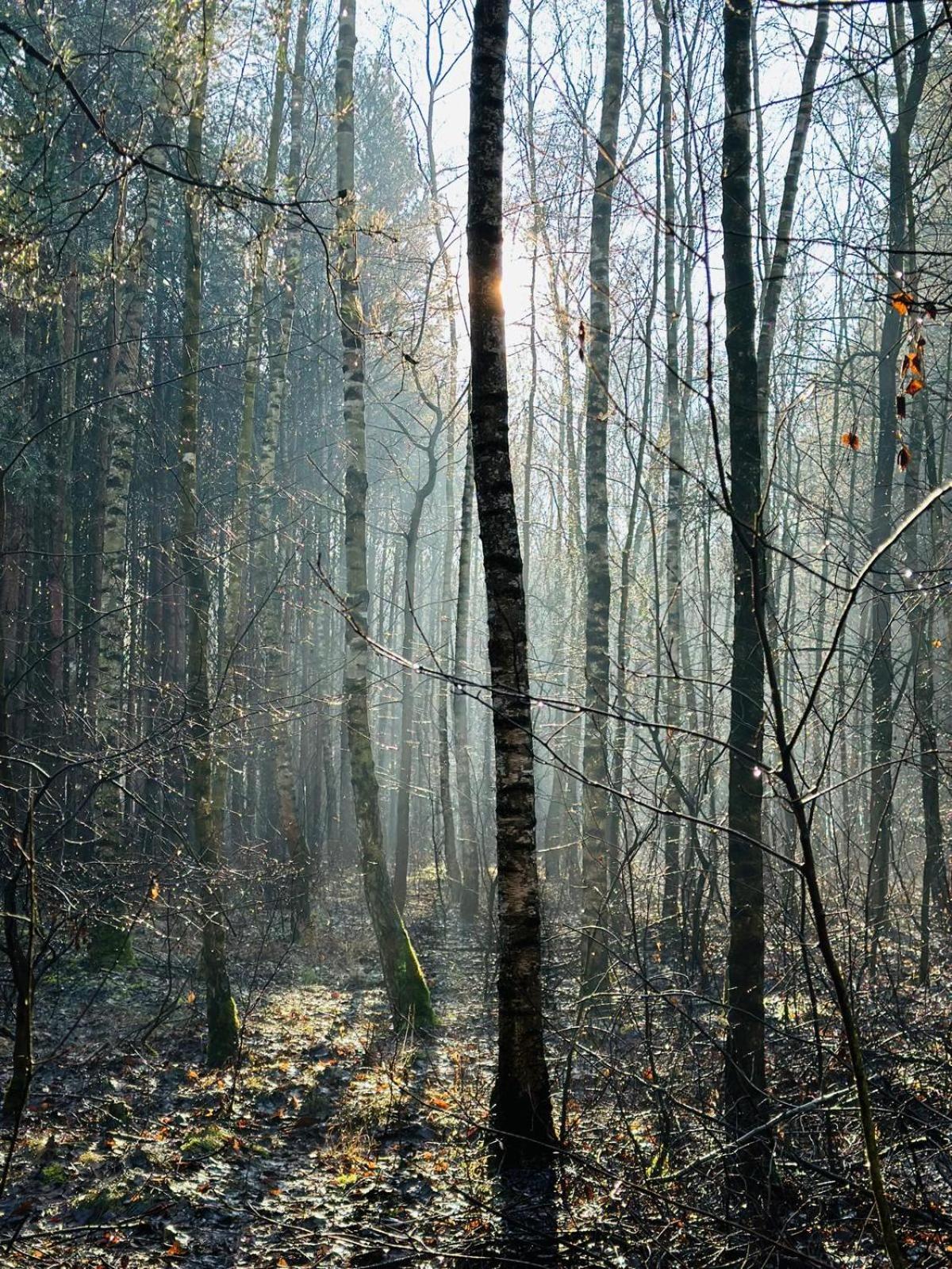 Domki Kacprowy W Lipnicy Lipnica  Buitenkant foto