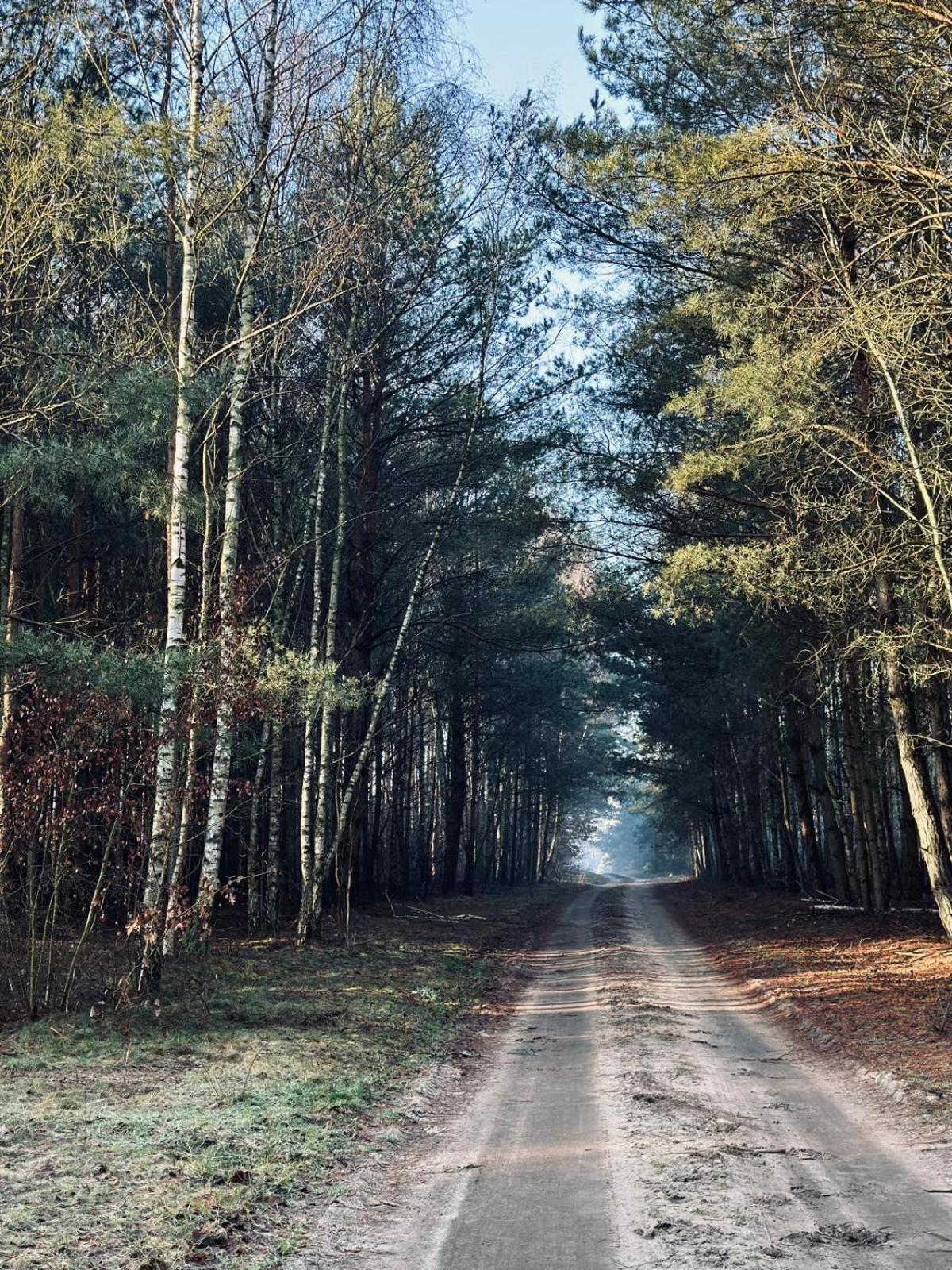 Domki Kacprowy W Lipnicy Lipnica  Buitenkant foto